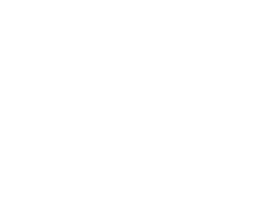 shadow-hunter-logo2
